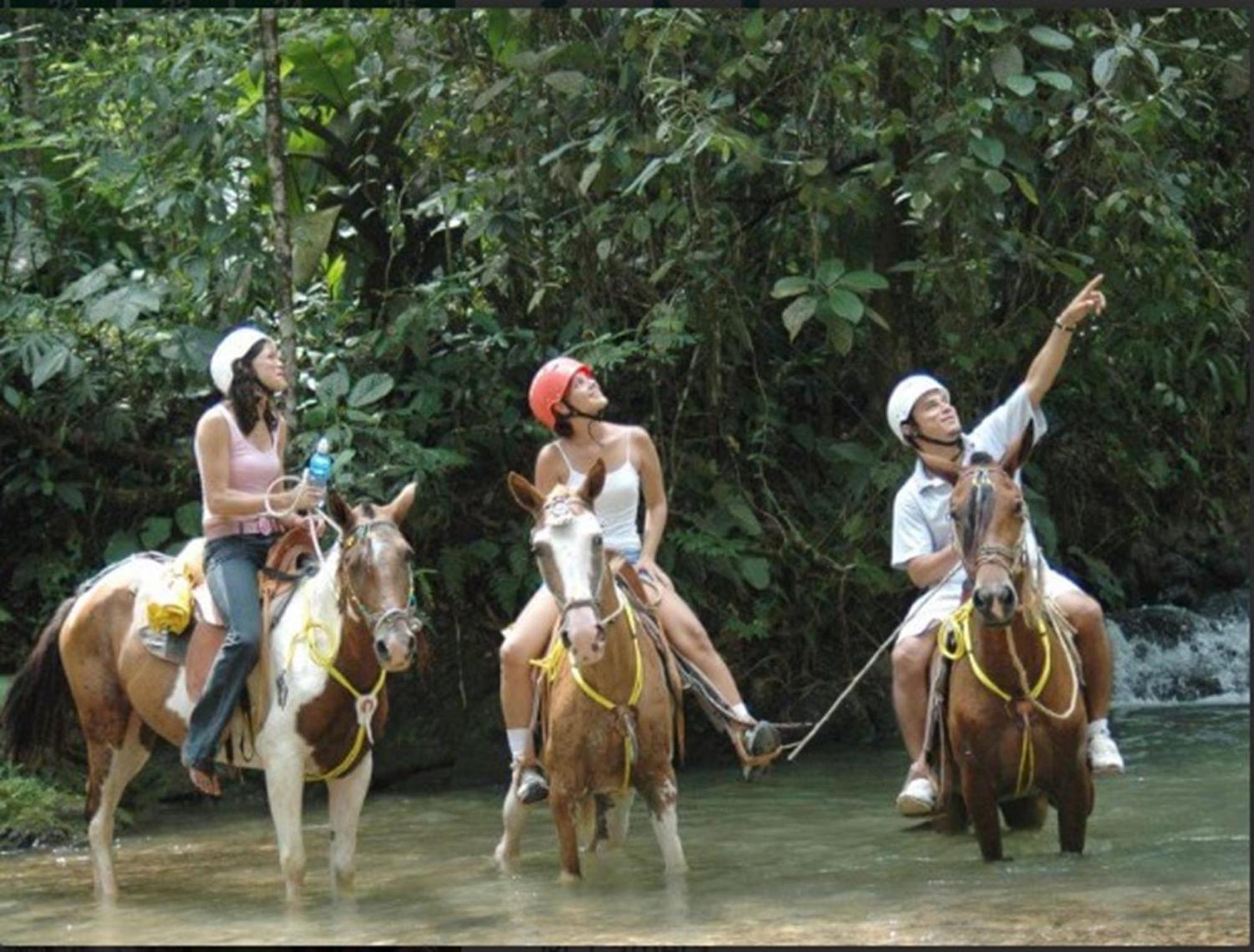 Hotel Planeta Sano Manuel Antonio Dış mekan fotoğraf