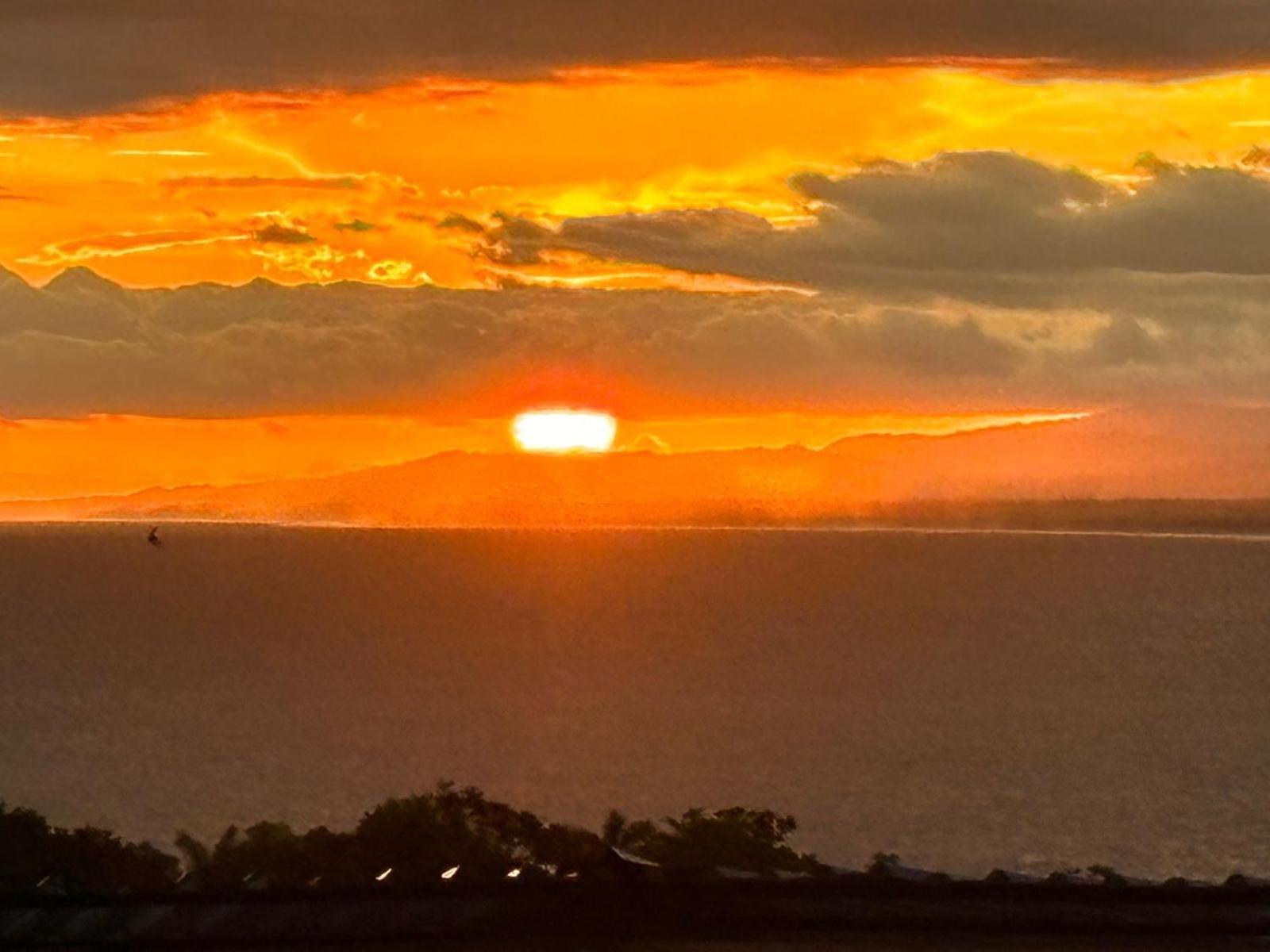 Hotel Planeta Sano Manuel Antonio Dış mekan fotoğraf