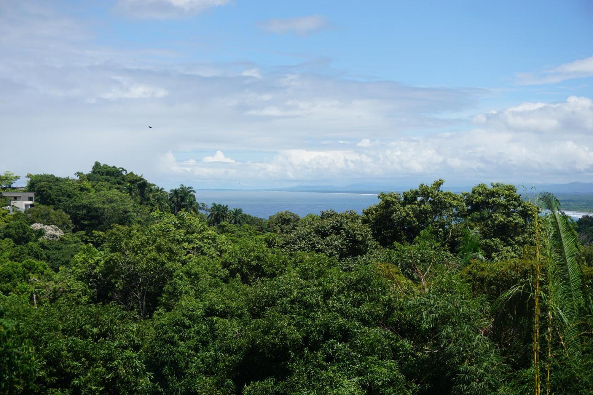 Hotel Planeta Sano Manuel Antonio Dış mekan fotoğraf