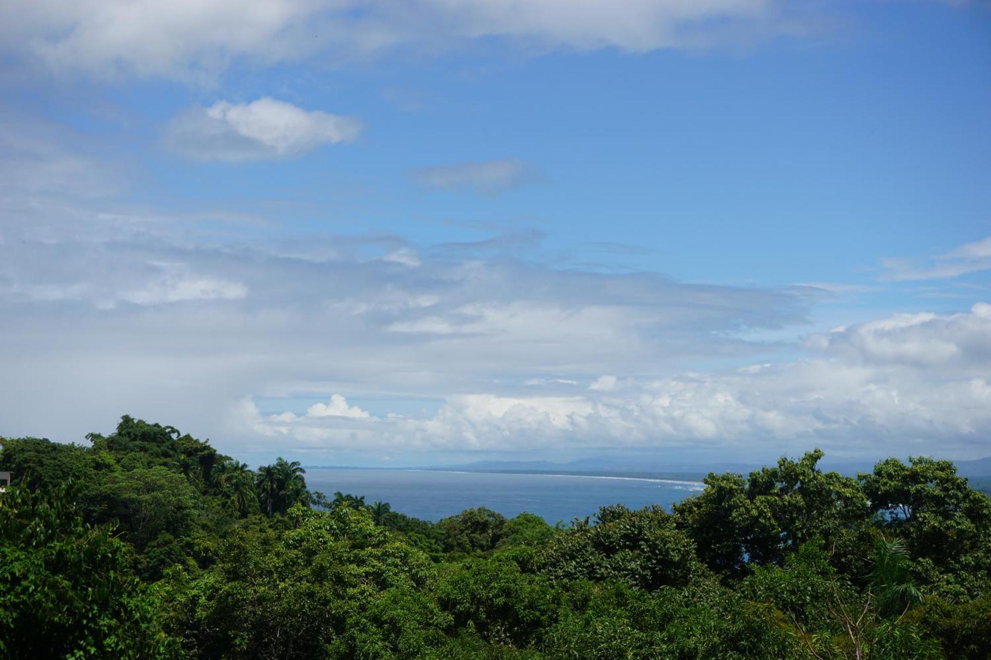 Hotel Planeta Sano Manuel Antonio Dış mekan fotoğraf