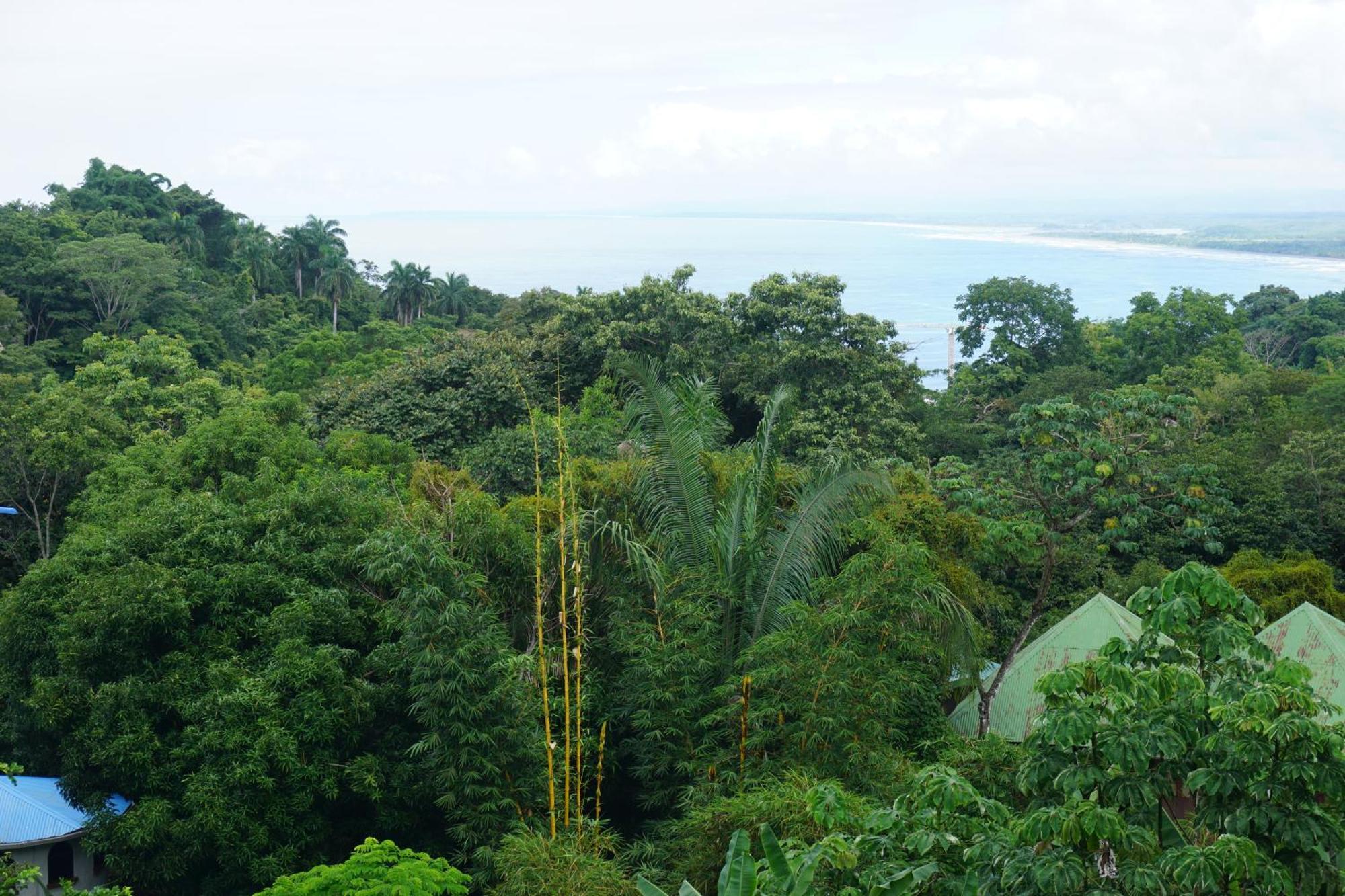 Hotel Planeta Sano Manuel Antonio Dış mekan fotoğraf